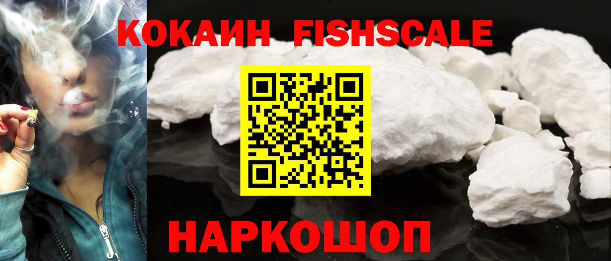 COCAIN FishScale Губкин
