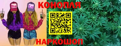 прущие грибы Моздок