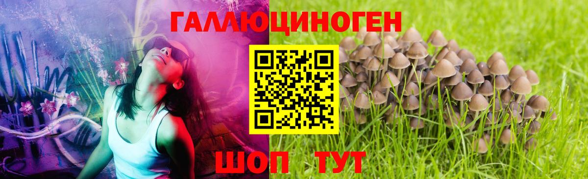 Псилоцибиновые грибы мицелий  магазин    Губкин  Вход с VPN 